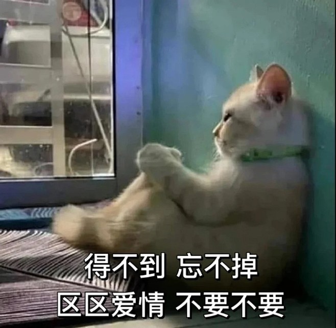 表情包（得不到，忘不掉）