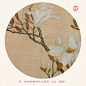 #爱上这座城#花朝节，传说为百花生日，千百年来人们记录、分享这些春天的馈赠。故宫里繁花逐渐盛开，与文物中的“花”遥相呼应，古今共赏。 ​​​​