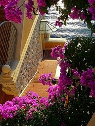 Bouganvilla Stairs, ...