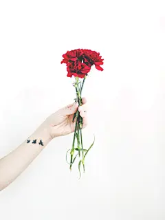 高清晰手拿玫瑰花壁纸封面大图