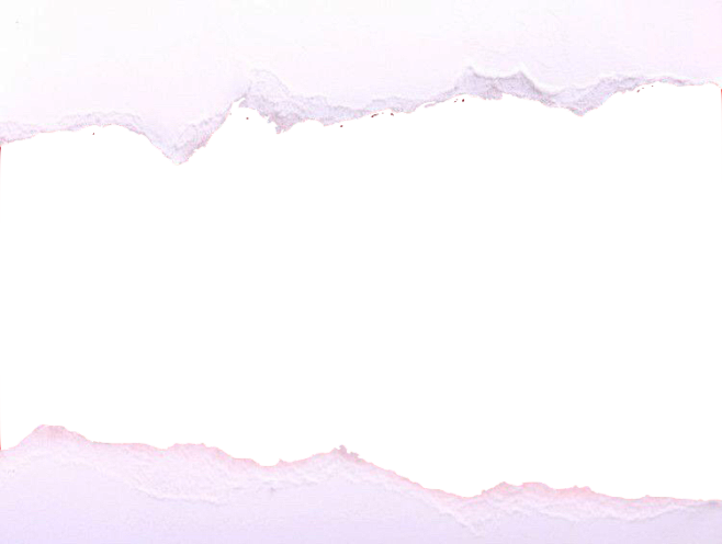 撕纸1
