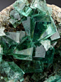 Green Fluorite is highly beneficial for clearing negative energy from the environment and brings cleansing, renewal, and a spring-like freshness to the chakras. It inspires new ideas, originality and quick thinking. Particularly healing to the Heart Chakr