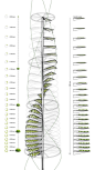 城市垂直农场的蔬菜种植基础设施生成系统 




The population of the world is expected to double by 2050.世界人口预计将增加一倍，到2050年。 This fact does not only raise interrogations for the future of food production and the increasing necessity of land cultivation, i......