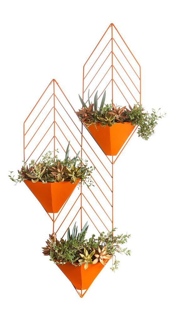 Hedge modern planter...