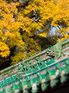 1111111111111111110采集到背景合成