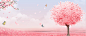 又一年樱花开粉色文艺banner 高清背景 背景 设计图片 免费下载 页面网页 平面电商 创意素材