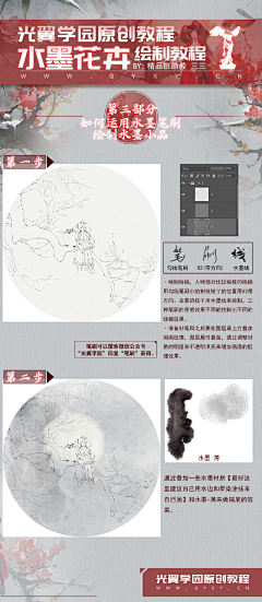 言柚子采集到生物-植物教程