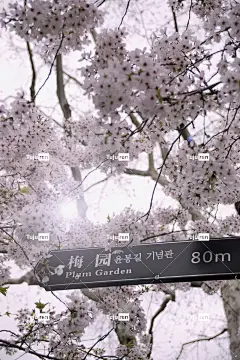 梅园80标牌