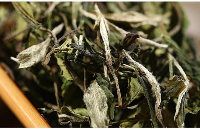 馥益堂白茶 野韵白牡丹2019春茶 福鼎白茶散茶荒野茶韵300g*4箱装茶叶