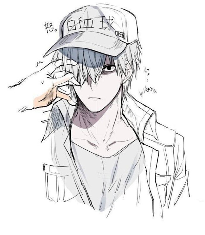 工作细胞白血球工作细胞t细胞和白血球的狗粮我吃了twitunami2867