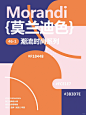 46｜莫兰迪色｜潮流时尚系列配色 - 小红书