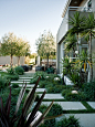 MTLA - C. Residence - modern - exterior - los angeles - MTLA- Mark Tessier Landscape Architecture - pavers