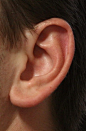 ear reference photo