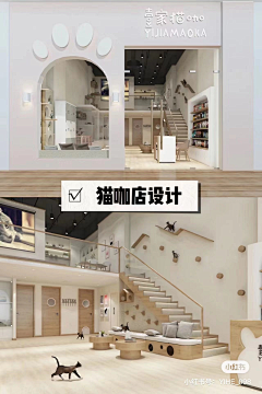 老了会很帅采集到宠物医院 猫咖