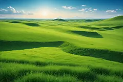 自然风光草坪摄影图