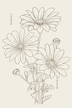 花卉九宫格 - 小红书