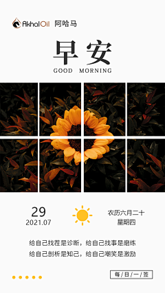 花花hh~采集到日签