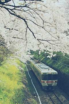 谁是谁的天_、采集到美景