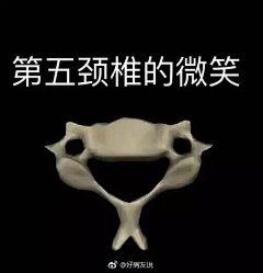 医学生专用表情包