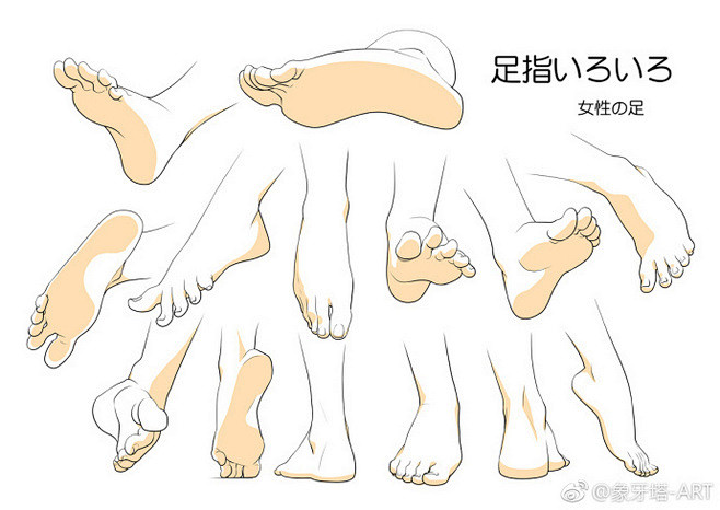 脚画法的搜索结果_360图片