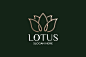 simple and modern lotus flower logo set vector