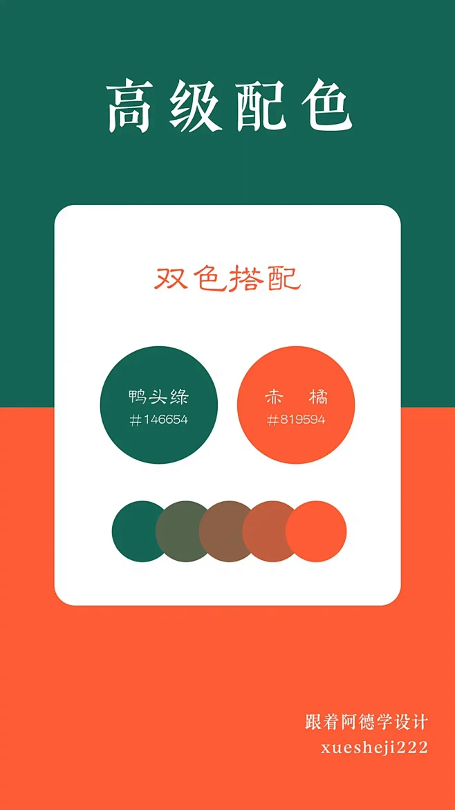 发现更多精彩视频 - 抖音搜索