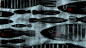 General 2560x1440 digital art animals artwork drawing simple background fish glasses stripes illustration