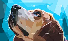 动物 丰富多彩的 装饰 狗 设计 几何学 自然 流行音乐 艺术