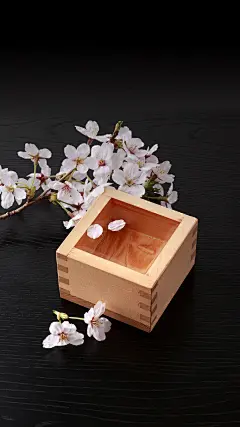 @大圣中的战斗菊 #唯美#美图#手机壁纸#风景#