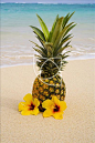 菠萝,花,热带沙滩