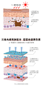 HBN日本α-熊果苷焕白精粹水+视黄醇抗初老原液精华维A醇熬夜救星-tmall.com天猫