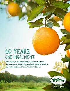 Tropicana_Iconic_Orange_Nabil1-1.jpg (843×1092)