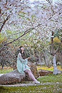 槐花飘香时2013采集到花容