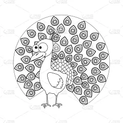 孔雀,动画片,幽默,哺乳纲,自然美,动物,鸟类,儿童,绘制,着色