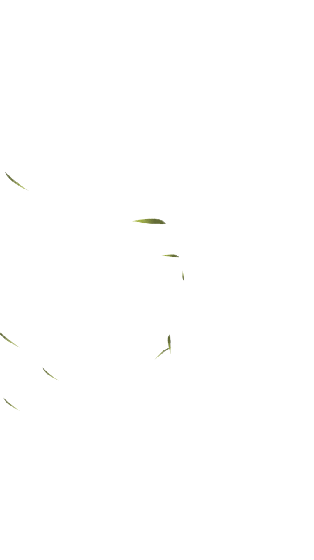 b01bf0e999a2a71f6df1...