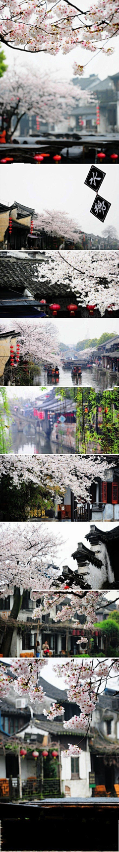 风晴雪雨采集到惬