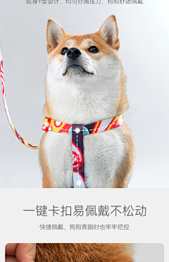 佳；采集到手  待分类
