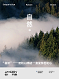 松山棉店 ｜ 服装品牌全面升级