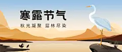 寒露节气祝福白鹭手绘公众号首图