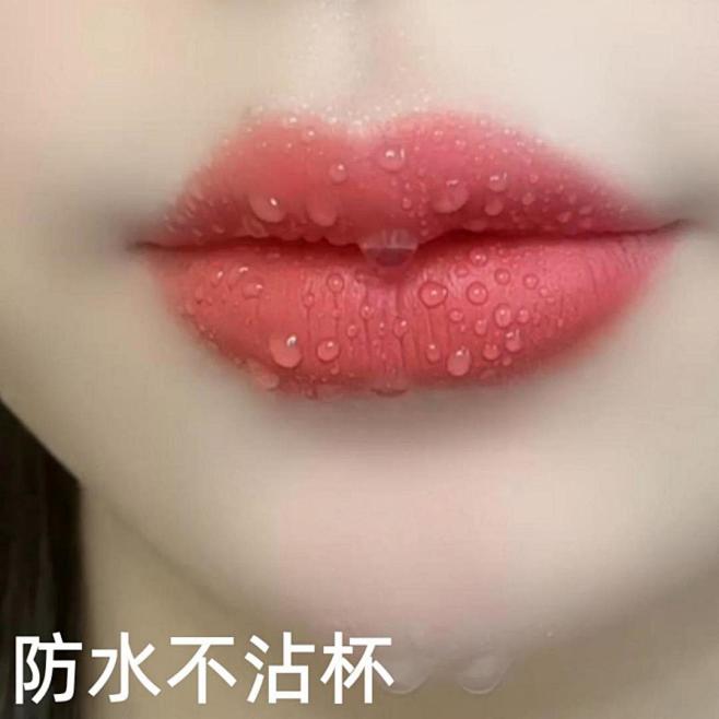 小红书不沾杯不掉色肉桂奶茶豆沙胡萝卜口红...