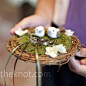 Ring Bearer Bird Nest