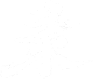 录