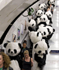 译言网 | 【每日邮报】108只“熊猫”在伦敦街头宣传熊猫周