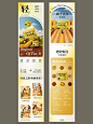 油画风格玉米须茶详情l 问虎®创意