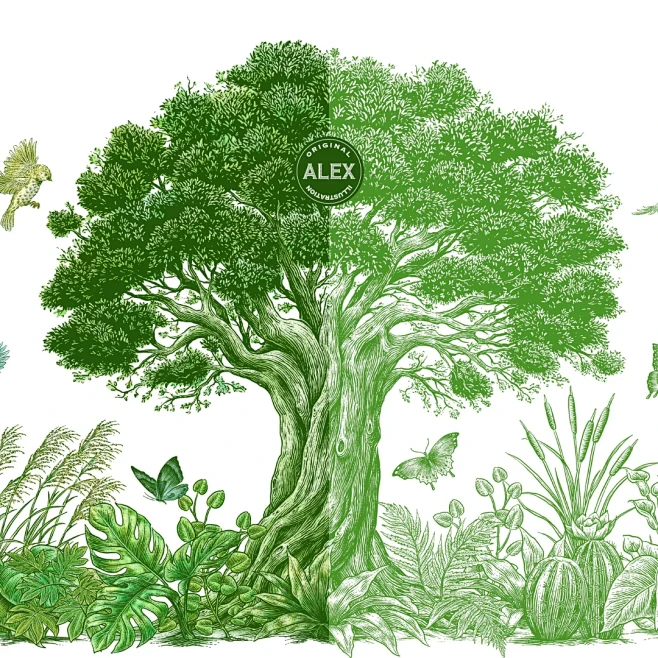 原创插画 | The Tree - 小红书-花瓣网