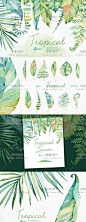 cm290|热带植物棕榈树叶手绘水彩PNG请柬生日贺卡海报PS设计素材-淘宝网