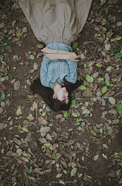 GINKGO-O采集到迷雾森林