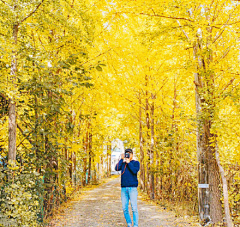 歧路一条岔采集到风景