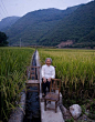 陕西省旬阳县白柳镇，87岁的柳树珍在村里的水稻田边（8月30日摄）。柳树珍的老伴去世，儿子在外打工。