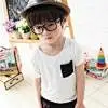 南Cheng